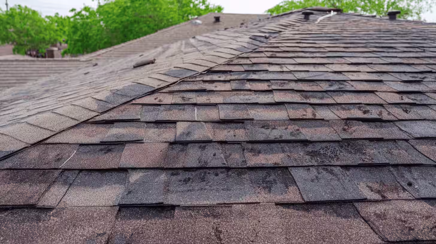 Hail & Storm Damage Restoration service